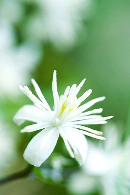 ��м�����ߴ�����м��ɵ�Σ��?