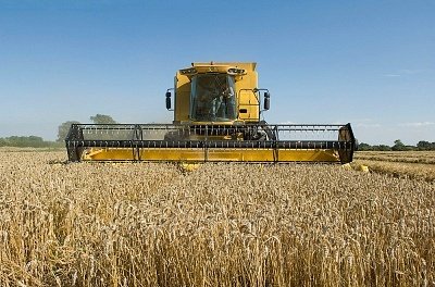 �ֲ���м����ʲô֢״